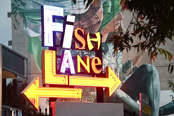 9. Fish Lane